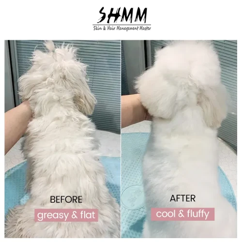 SHMM Deep Oil Removing Essence - фото